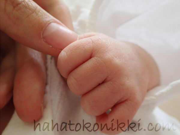 新生児の手